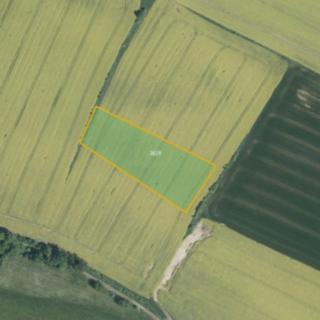 Prodej zemědělské půdy 7 362 m² Lično