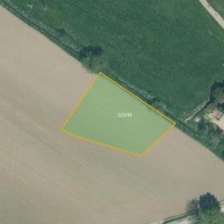 Prodej zemědělské půdy 36 083 m² Dnešice