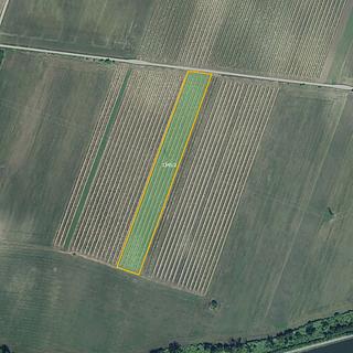 Prodej ostatních pozemků 10059 m² Sedlec
