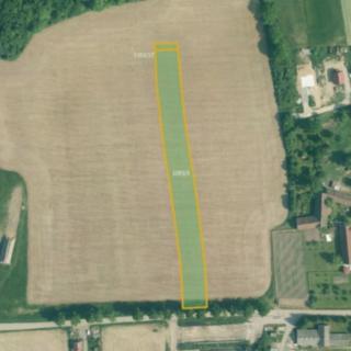 Prodej zemědělské půdy 73 474 m² Olešník
