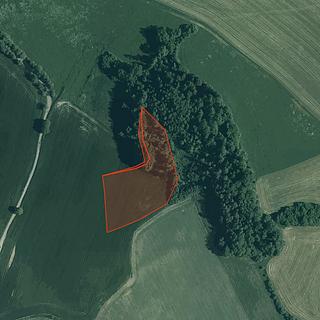 Prodej zemědělské půdy 5 076 m² Kolinec Jindřichovice