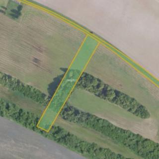 Prodej louky 6 051 m² Stará Lysá
