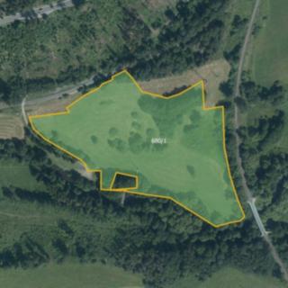 Prodej louky 33 558 m² Valšov
