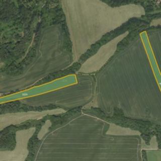 Prodej zemědělské půdy 69 500 m² Městečko Trnávka
