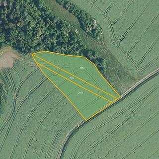 Prodej zemědělské půdy 4 411 m² Svatoslav