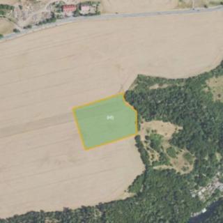 Prodej zemědělské půdy 14 572 m² Nižbor