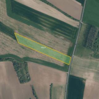 Prodej zemědělské půdy 12 195 m² Krabčice