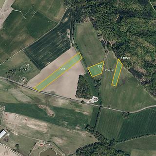 Prodej zemědělské půdy 36 010 m² Borek