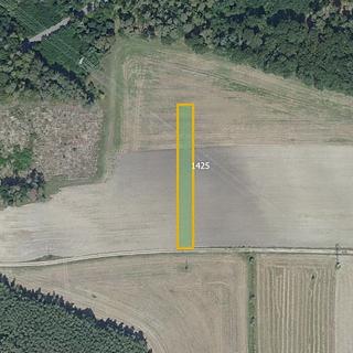 Prodej zemědělské půdy 6341 m² Sány