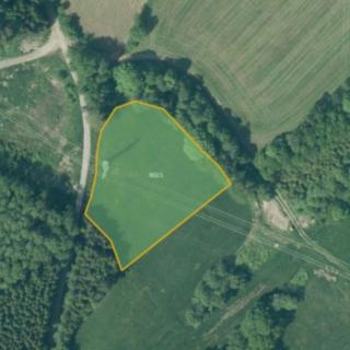Prodej louky 4193 m² Věžovatá Pláně
