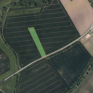 Prodej zemědělské půdy 6457 m&sup2; Pacetluky