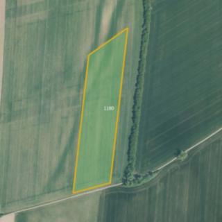Prodej zemědělské půdy 38 076 m² Zlobice