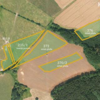 Prodej zemědělské půdy 69 637 m² Javor