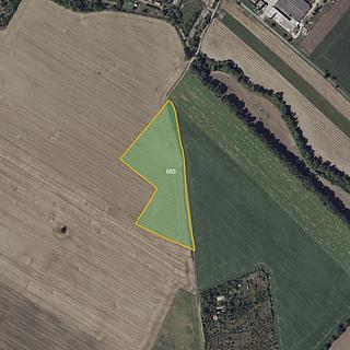 Prodej zemědělské půdy 38023 m&sup2; Děčany