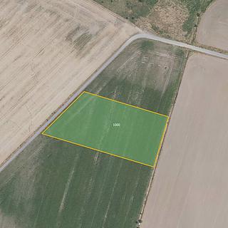 Prodej zemědělské půdy 10 046 m² Čachovice Struhy