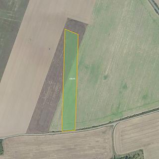 Prodej zemědělské půdy 17103 m² Horoušany