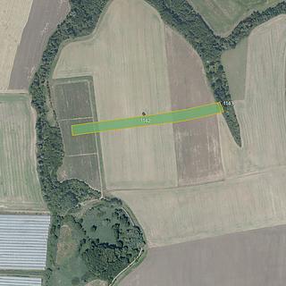 Prodej zemědělské půdy 15 208 m² Vitice Dobré Pole