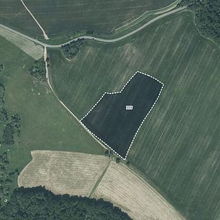 Prodej zemědělské půdy 54957 m² Nové Lublice