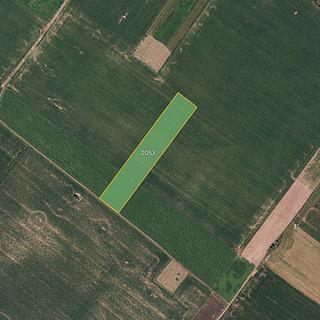 Prodej zemědělské půdy 5 390 m² Znojmo Popice