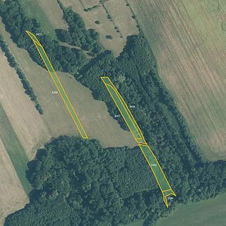 Prodej zemědělské půdy 14619 m² Police