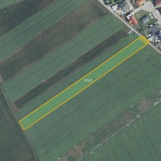 Prodej zemědělské půdy 4 918 m² Nový Poddvorov