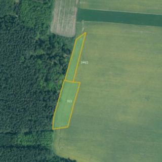 Prodej louky 5 714 m² Čížová Krašovice