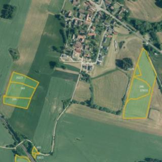 Prodej zemědělské půdy 115 988 m² Velký Bor Jetenovice