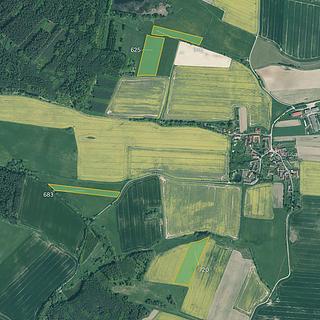 Prodej zemědělské půdy 46 919 m² Bernartice Rakov