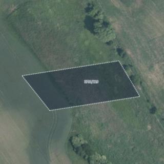 Prodej zemědělské půdy 4 160 m² Trstěnice