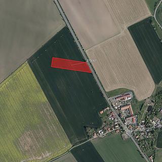 Prodej zemědělské půdy 4 041 m² Všestary Lípa
