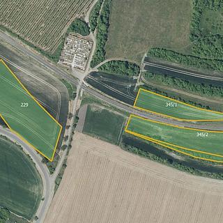 Prodej zemědělské půdy 78 982 m² Děčany Solany