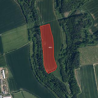 Prodej zemědělské půdy 41704 m&sup2; Soběslavice