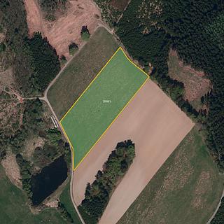 Prodej zemědělské půdy 15 101 m² Olšany