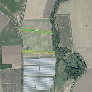 Prodej zemědělské půdy 12 344 m² Vitice Dobré Pole