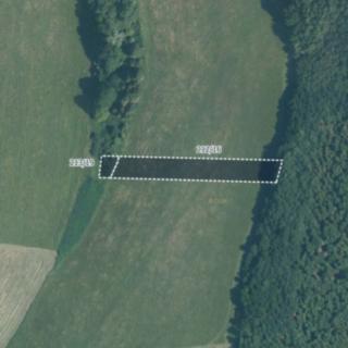 Prodej zemědělské půdy 6 175 m² Podolí