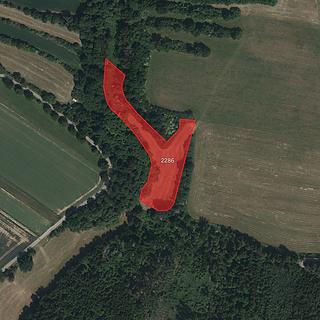 Prodej louky 6 873 m² Radkovice u Budče