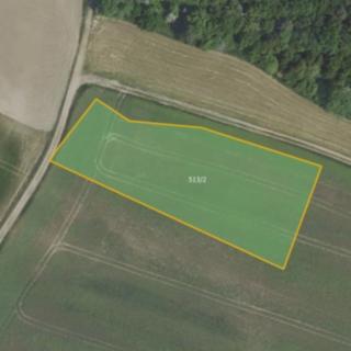 Prodej zemědělské půdy 4 207 m² Malešov