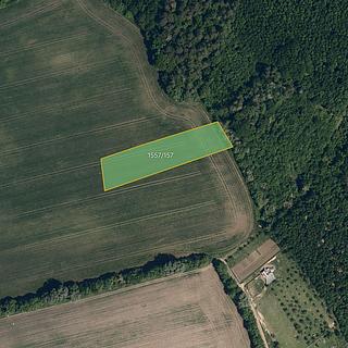 Prodej zemědělské půdy 3 552 m² Kyjov Bohuslavice