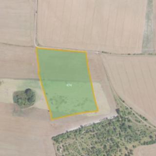 Prodej zemědělské půdy 7 802 m² Velvary Velká Bučina
