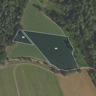 Prodej zemědělské půdy 9 090 m² Letovice Podolí