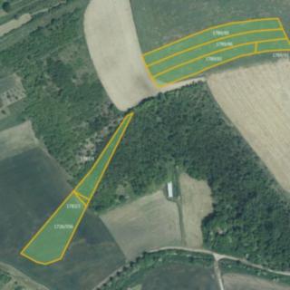 Prodej zemědělské půdy 15 635 m² Nosislav