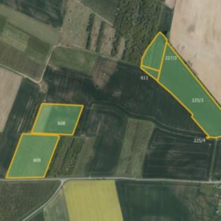 Prodej zemědělské půdy 73807 m² Stěžery