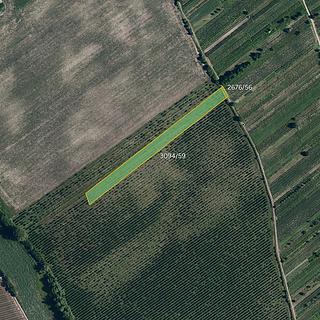 Prodej ostatních pozemků 4613 m&sup2; Prušánky