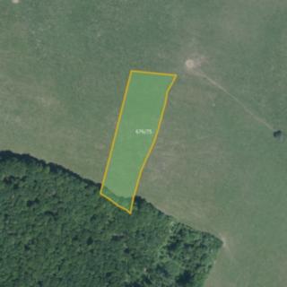 Prodej zemědělské půdy 11 492 m² Luhačovice Polichno
