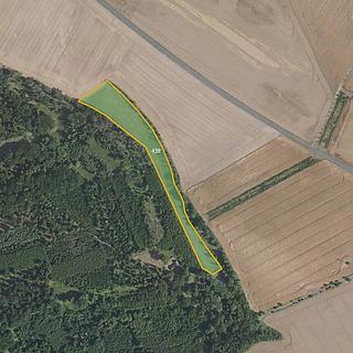 Prodej louky 16 872 m² Benátky nad Jizerou III