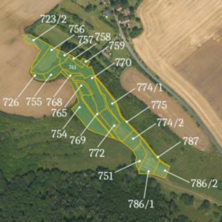 Prodej louky 44437 m² Štětí