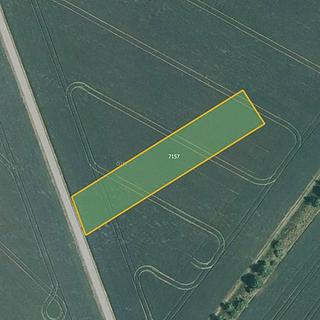 Prodej zemědělské půdy 7 073 m² Prštice
