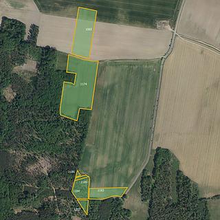 Prodej zemědělské půdy 19647 m&sup2; Vlčí Habřina