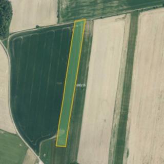 Prodej zemědělské půdy 11 858 m² Zlukov
