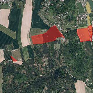 Prodej zemědělské půdy 55 519 m² Krnov Pod Cvilínem